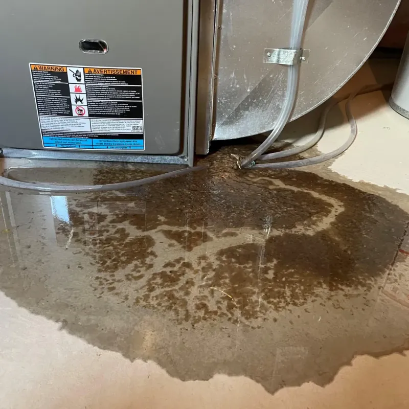 Appliance Leak Cleanup in Nickerson, KS